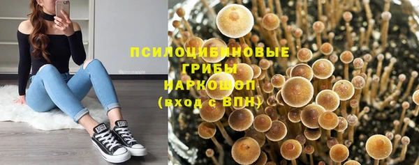 гидропоника Алексеевка