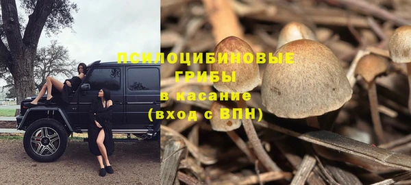 соль ск Алзамай
