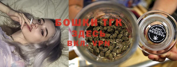 тгк Алексин