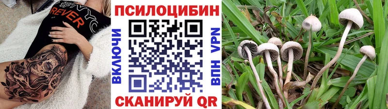 купить   Куйбышев  Галлюциногенные грибы ЛСД 